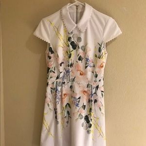 NWT Ted Baker Elegance Scallop Ponte DR